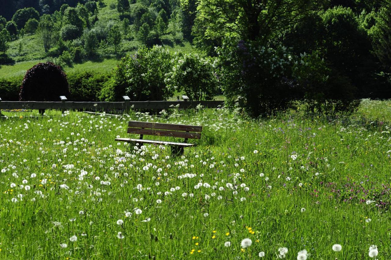 Appartements&chalets Wiesenruh * Bichlbach